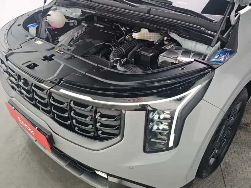 2024 Kia Carnival с пробегом 32 869 км